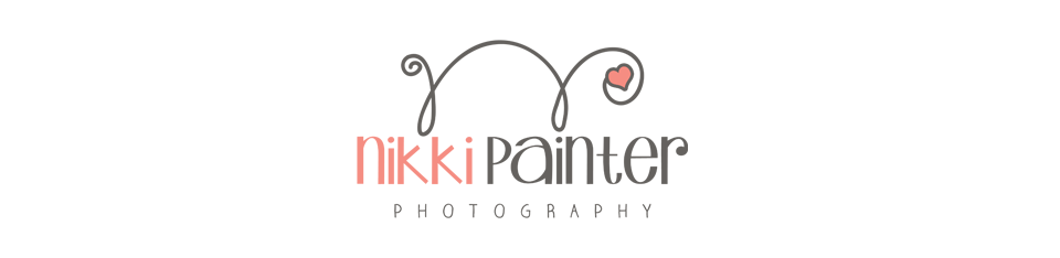 nikkipainterphotography.com logo